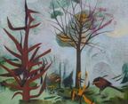 Colpo di fuoco